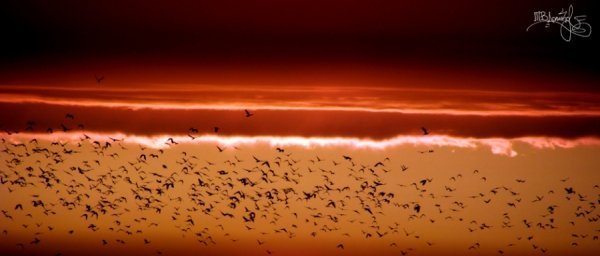 Фотовиставка Тетяни Должко